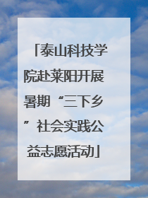 泰山科技学院赴莱阳开展暑期“三下乡”社会实践公益志愿活动