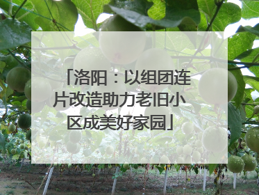 洛阳：以组团连片改造助力老旧小区成美好家园