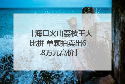 海口火山荔枝王大比拼 单颗拍卖出6.8万元高价