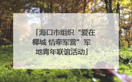 海口市组织“爱在椰城 情牵军营”军地青年联谊活动