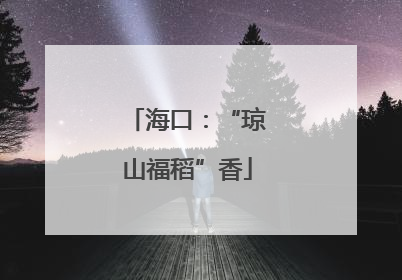 海口：“琼山福稻”香