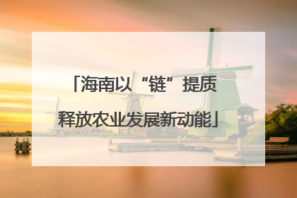 海南以“链”提质 释放农业发展新动能