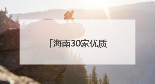 海南30家优质企业亮相中博会