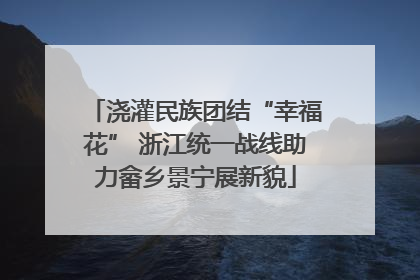 浇灌民族团结“幸福花” 浙江统一战线助力畲乡景宁展新貌