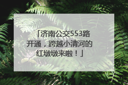 济南公交553路开通，跨越小清河的红墩墩来啦！