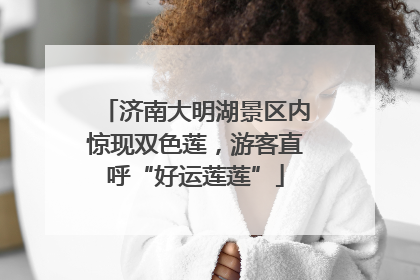 济南大明湖景区内惊现双色莲，游客直呼“好运莲莲”