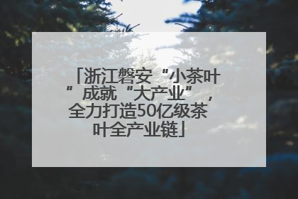浙江磐安“小茶叶”成就“大产业”，全力打造50亿级茶叶全产业链