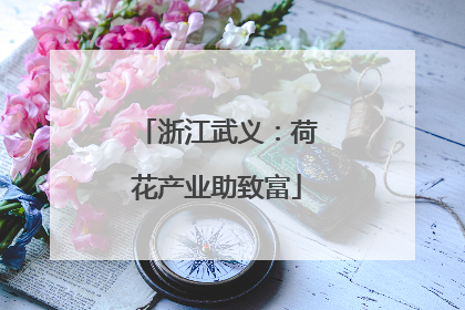 浙江武义：荷花产业助致富