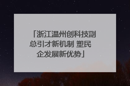 浙江温州创科技副总引才新机制 塑民企发展新优势
