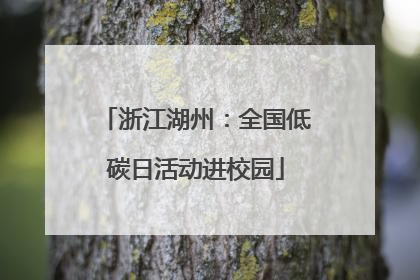浙江湖州：全国低碳日活动进校园