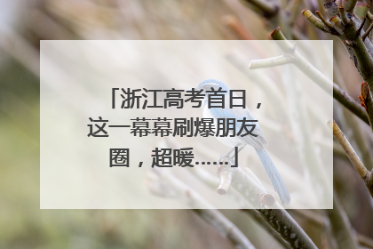浙江高考首日，这一幕幕刷爆朋友圈，超暖……
