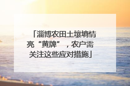 淄博农田土壤墒情亮“黄牌”，农户需关注这些应对措施
