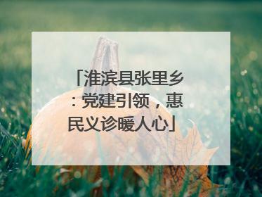 淮滨县张里乡：党建引领，惠民义诊暖人心