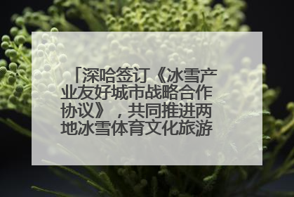 深哈签订《冰雪产业友好城市战略合作协议》，共同推进两地冰雪体育文化旅游高质量发展