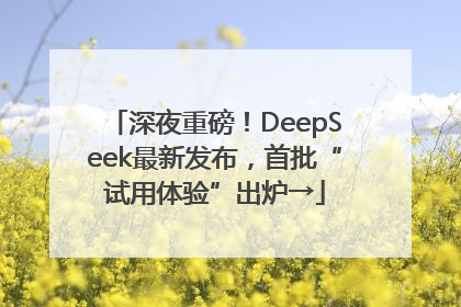 深夜重磅！DeepSeek最新发布，首批“试用体验”出炉→
