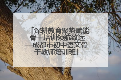 深耕教育聚势赋能 骨干培训领航致远—成都市初中语文骨干教师培训班