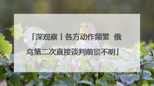 深观察丨各方动作频繁  俄乌第二次直接谈判前景不明