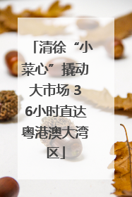 清徐“小菜心”撬动大市场 36小时直达粤港澳大湾区