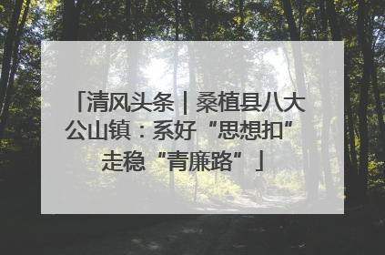 清风头条｜桑植县八大公山镇：系好“思想扣” 走稳“青廉路”