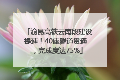 渝昆高铁云南段建设提速！40座隧道贯通，完成度达75%