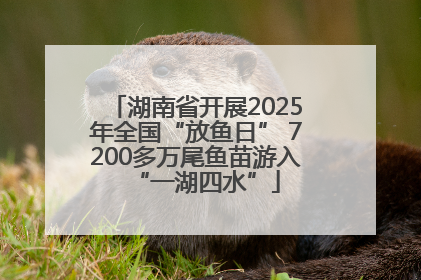 湖南省开展2025年全国“放鱼日” 7200多万尾鱼苗游入“一湖四水”