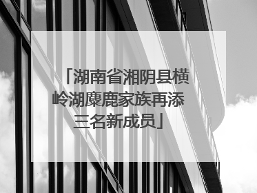 湖南省湘阴县横岭湖麋鹿家族再添三名新成员