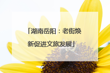 湖南岳阳：老街焕新促进文旅发展