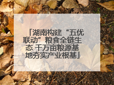 湖南构建“五优联动”粮食全链生态 千万亩粮源基地夯实产业根基