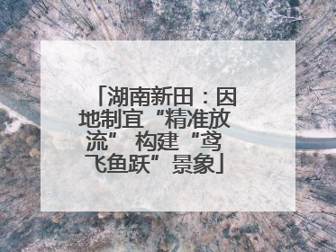 湖南新田：因地制宜“精准放流” 构建“鸢飞鱼跃”景象