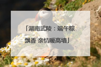 湖南武陵：端午粽飘香 亲情暖高墙