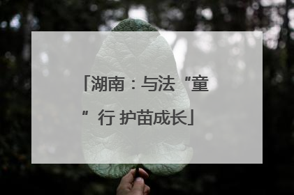 湖南：与法“童”行 护苗成长