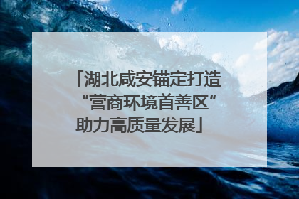 湖北咸安锚定打造“营商环境首善区”助力高质量发展
