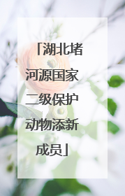 湖北堵河源国家二级保护动物添新成员