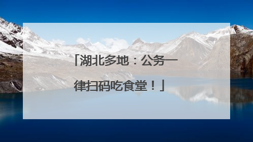湖北多地：公务一律扫码吃食堂！