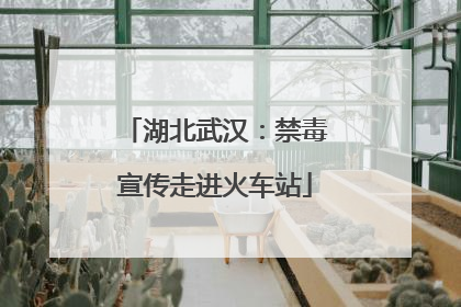 湖北武汉：禁毒宣传走进火车站