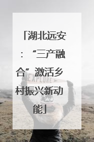 湖北远安：“三产融合”激活乡村振兴新动能
