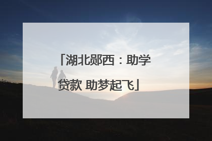 湖北郧西：助学贷款 助梦起飞