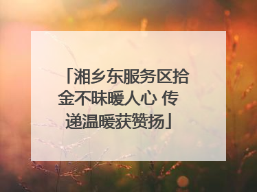 湘乡东服务区拾金不昧暖人心 传递温暖获赞扬