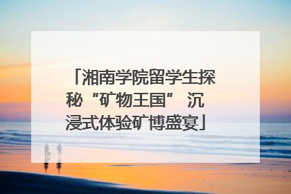 湘南学院留学生探秘“矿物王国” 沉浸式体验矿博盛宴