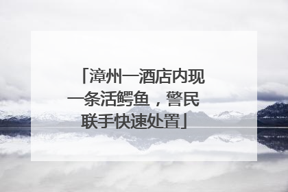 漳州一酒店内现一条活鳄鱼，警民联手快速处置