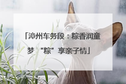 漳州车务段：粽香润童梦 “粽”享亲子情