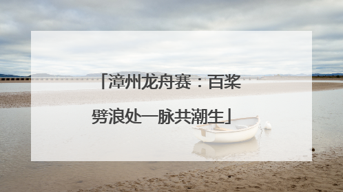 漳州龙舟赛：百桨劈浪处一脉共潮生