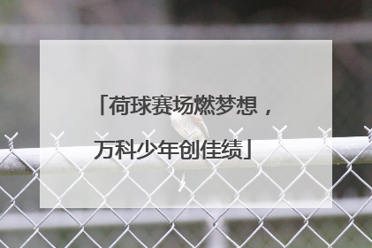 荷球赛场燃梦想，万科少年创佳绩