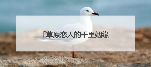 草原恋人的千里姻缘与半世纪相守：两代人的爱情在襄阳同框