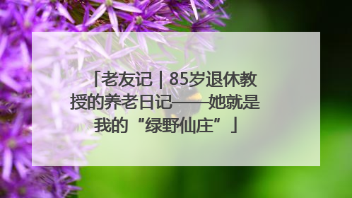 老友记｜85岁退休教授的养老日记——她就是我的“绿野仙庄”