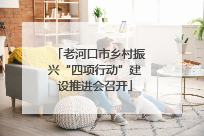 老河口市乡村振兴“四项行动”建设推进会召开