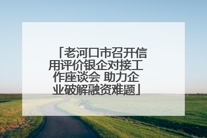老河口市召开信用评价银企对接工作座谈会 助力企业破解融资难题