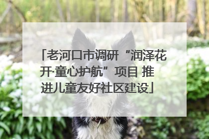 老河口市调研“润泽花开·童心护航”项目 推进儿童友好社区建设