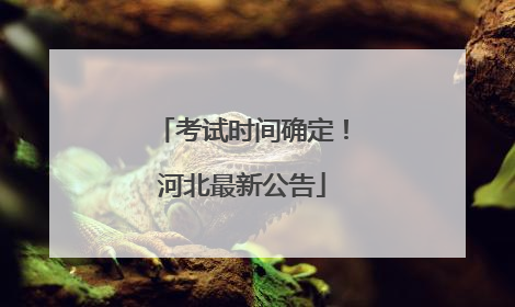 考试时间确定！河北最新公告