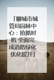 聊城市城管局园林中心：抢抓时机 全面完成道路绿化优化提升